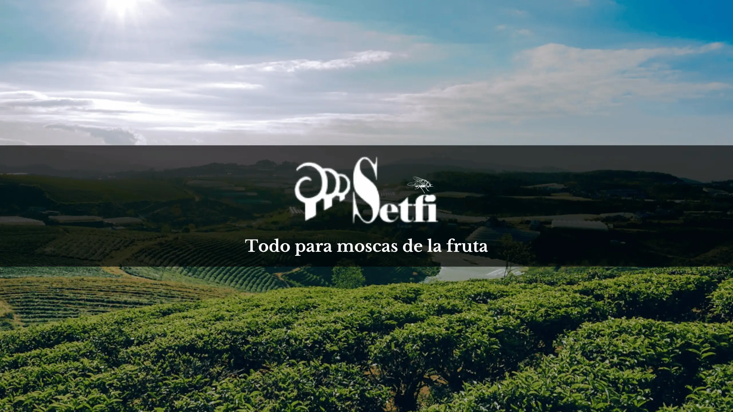 Tractor Verde En El Campo con el logo de SETFI. Foto tomada por Mark Stebnicki