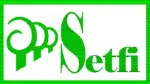 Logo Setfi